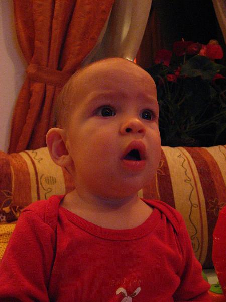 IMG_3290.JPG
