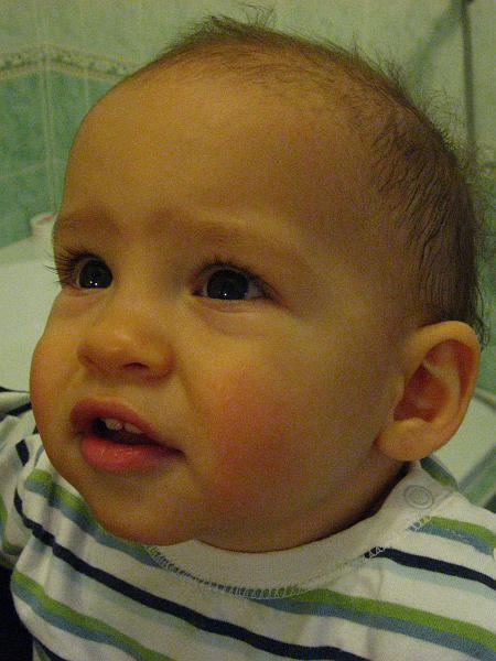IMG_3976.JPG