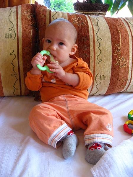 IMG_2639.JPG